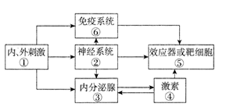 发烧工艺，探索工艺制程中的温度控制艺术