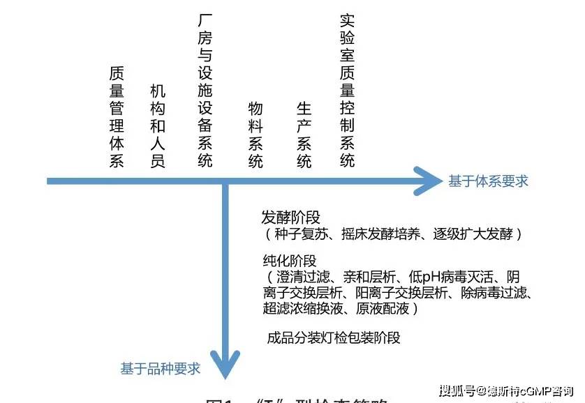 云母造纸工艺，深度解析与探讨