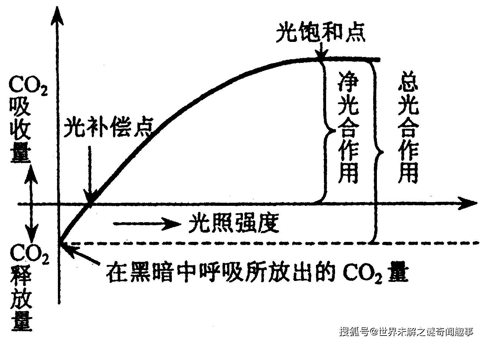 托辊的功能与应用，深入了解托辊的作用与重要性