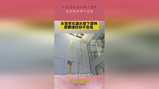 画板与填缝剂及水不漏的区别探讨