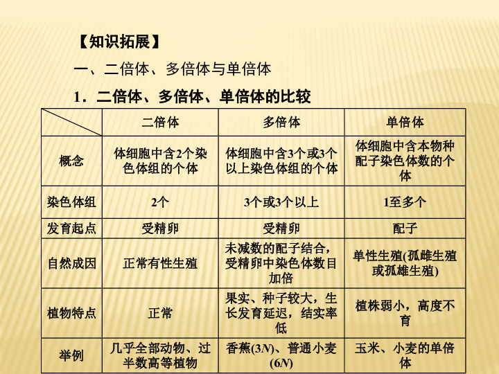 仪表车操作是否好学，探究学习难度与个人因素